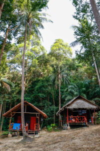 Paradise Lost Bungalows