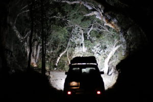 Freshwater Road by Night