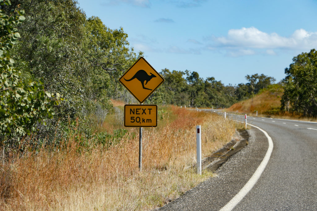Achtung Kängurus